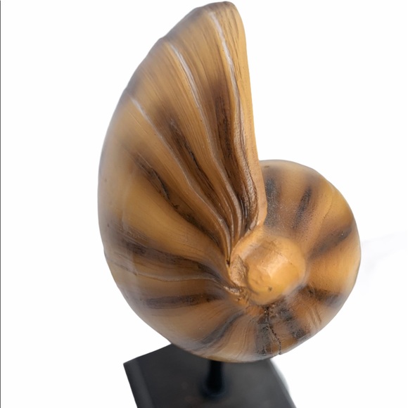 Shell Decor - Picture 6 of 8